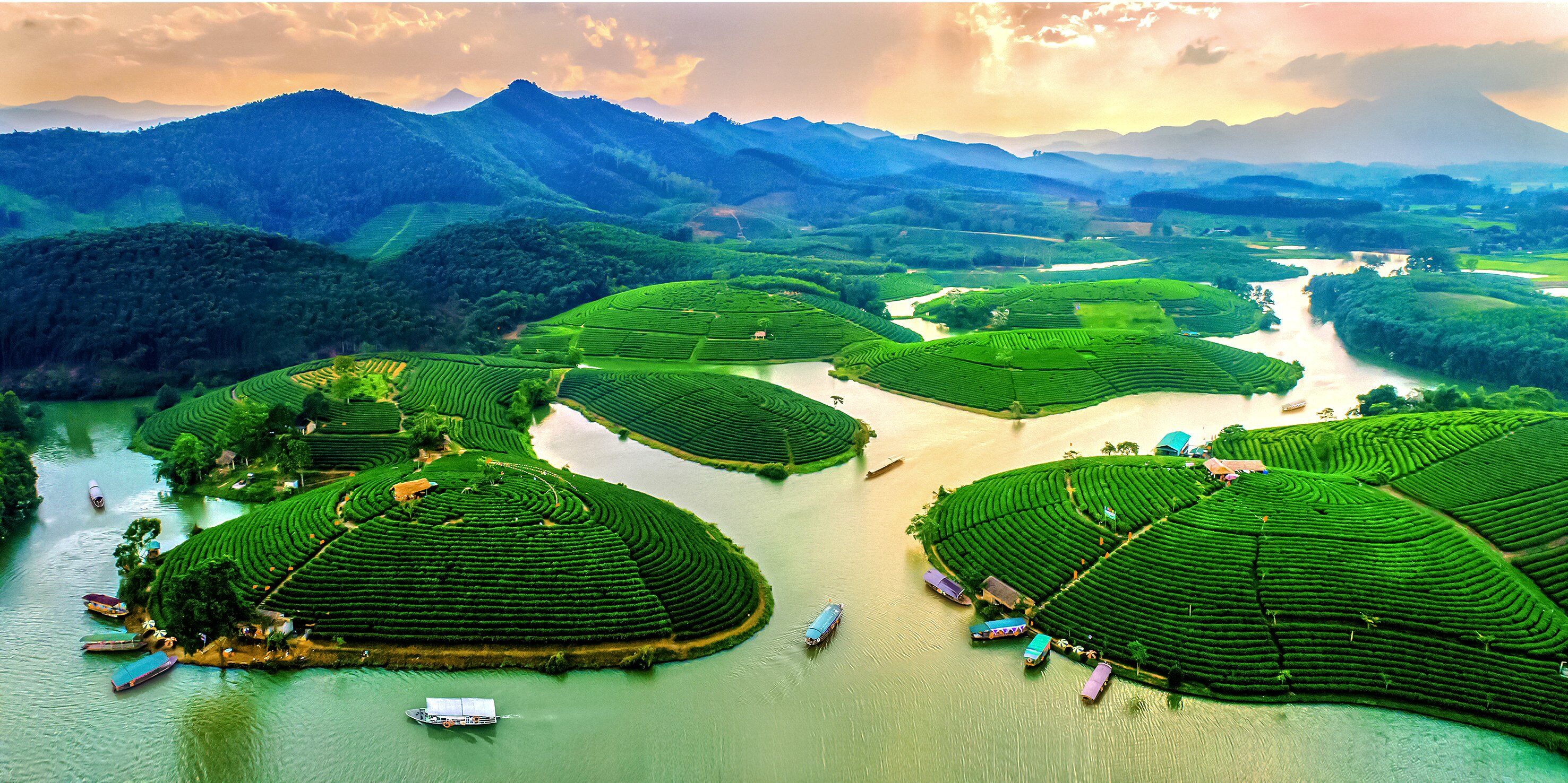 Thanh Chuong Hill Tea, Nghe An - Capture the sustainable charm of Nghe An’s ecotourism